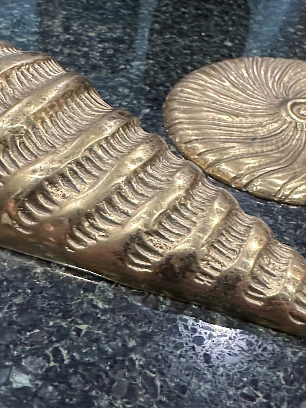 Vintage Brass mcm coastal Nautical Shell nautilus wall decor pair heavy metal
